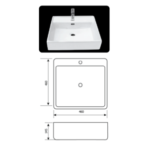 Chậu dương bàn vuông TC-CD211